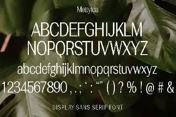 Mettylda Modern Font - Sans Serif Font