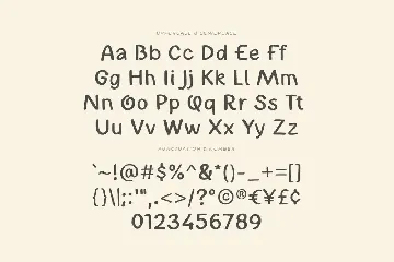 Flowcake | A Display Font