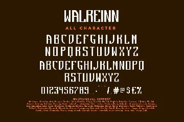 Walreinn Modern Sans Display Font