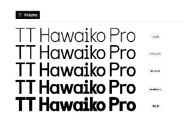 TT Hawaiko Typeface font