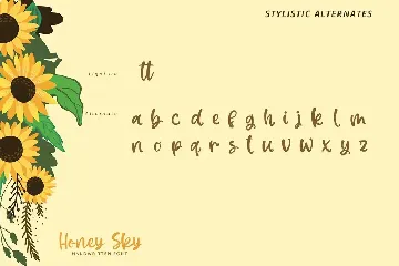 Honey Sky-Handwritten Font