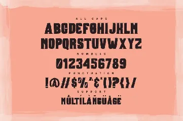 Boxer Typeface font