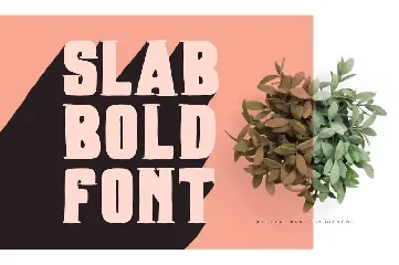 Boxer Typeface font