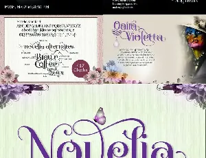 Novelia Typeface font