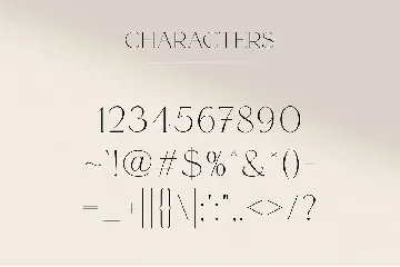 Pandyra - Delicate Luxury Serif font