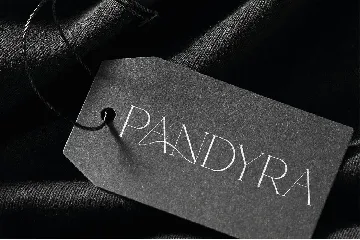 Pandyra - Delicate Luxury Serif font