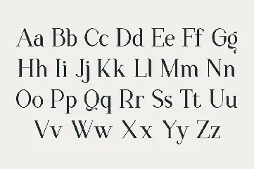 The New Seasone - Elegant Display Serif font