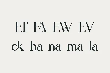 The New Seasone - Elegant Display Serif font