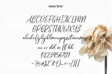 Elfashion Beauty Script Font