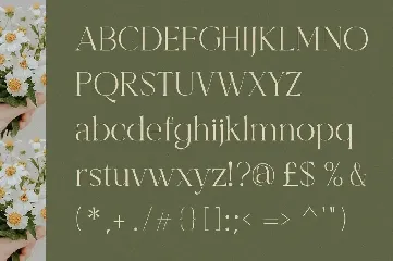 Bercarets - Elegant Display Serif Font