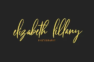 Citadels Signature Script Font