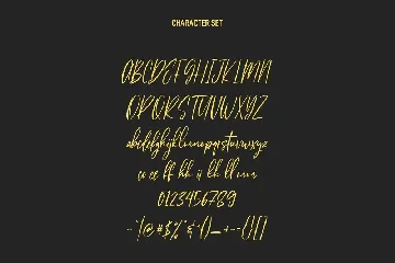 Citadels Signature Script Font