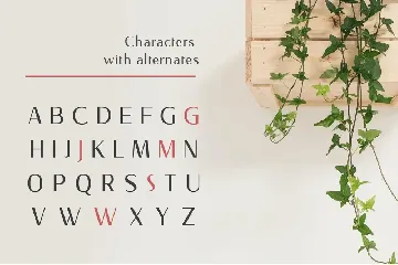 Nourishe font