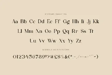 Aesthetiva - Elegant Serif Font