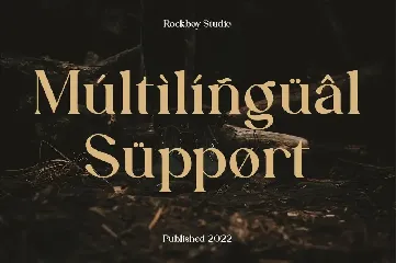 Aesthetiva - Elegant Serif Font