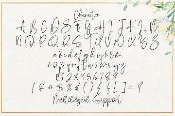 Sabina Angellica - Modern Script Font