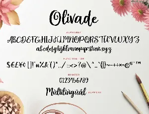 Olivade - Handwritten Script font