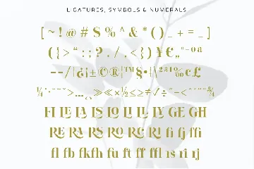 Lourena font