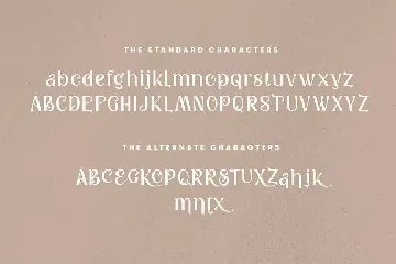 Kattsia Stylish Serif Font