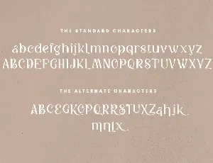 Kattsia Stylish Serif Font