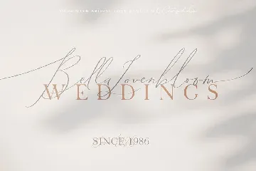 Abiding Love Collection Fonts