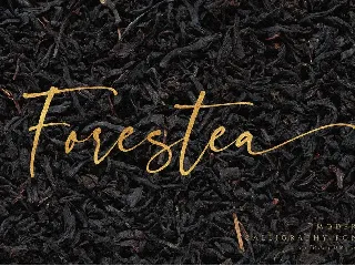 Forestea - Classy Script font