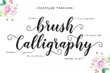 Delighted Script font