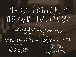 Reghina - Beautiful Feminine Script Font