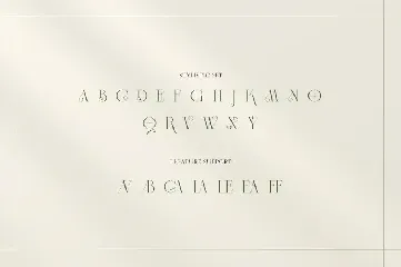 Slightly - Elegant Display Serif font