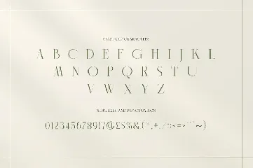 Slightly - Elegant Display Serif font