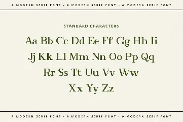 Bookinnes - Business Font