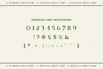 Bookinnes - Business Font