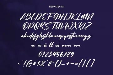 Overtis Signature Script Font