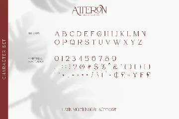 Atteron-Elegant Serif Font