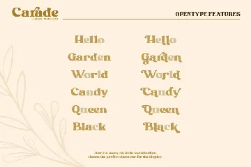 Carade-Elegant Serif Font