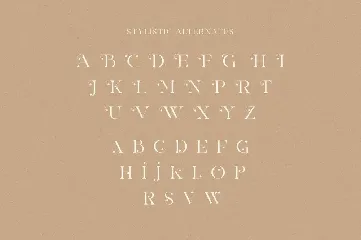 The Heart Mighty - Elegant Serif Font