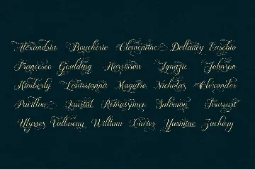 Brignola Elegant Calligraphy font