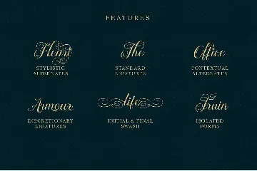 Brignola Elegant Calligraphy font