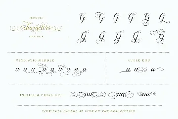 Brignola Elegant Calligraphy font