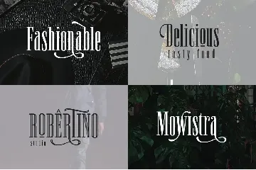 Newston - Stylish Serif font