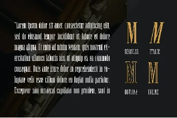 Newston - Stylish Serif font