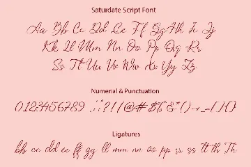 Saturdate font