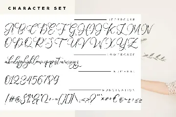 Handy-Dandy | Brush Script Font