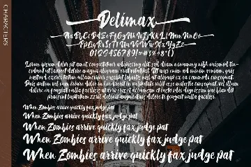 Delimax font