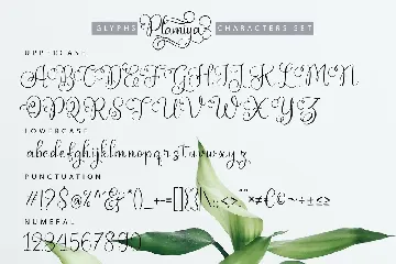 Plamiya | Handcrafted Script Font