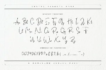 Andina Janelia - Signature Font