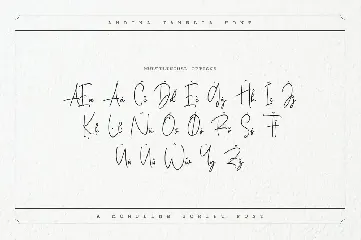 Andina Janelia - Signature Font