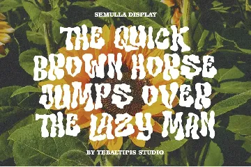 Semulla - Trippy Liquid Font