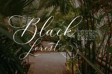 Beloved Lovely | Modern Calligraphy font