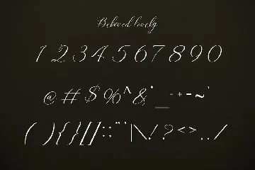 Beloved Lovely | Modern Calligraphy font